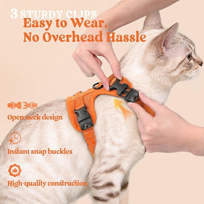 rabbitgoo Cat Harness and Leash, Easy-on with Neck Buckle, Orange