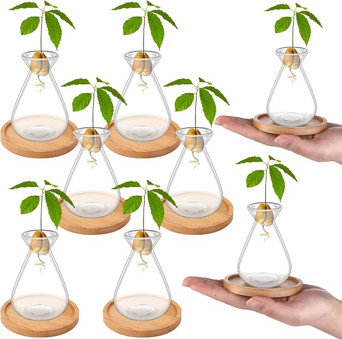 6Pcs Small Avocado Seed Starter Vase with Bamboo Base Avocado Tree Growing Vase Kit Avocado Seed Sprout Starter Vase Planter Pot Easy Seed Gift Plant Glass for Acorn Garlic Vines Root Seeds