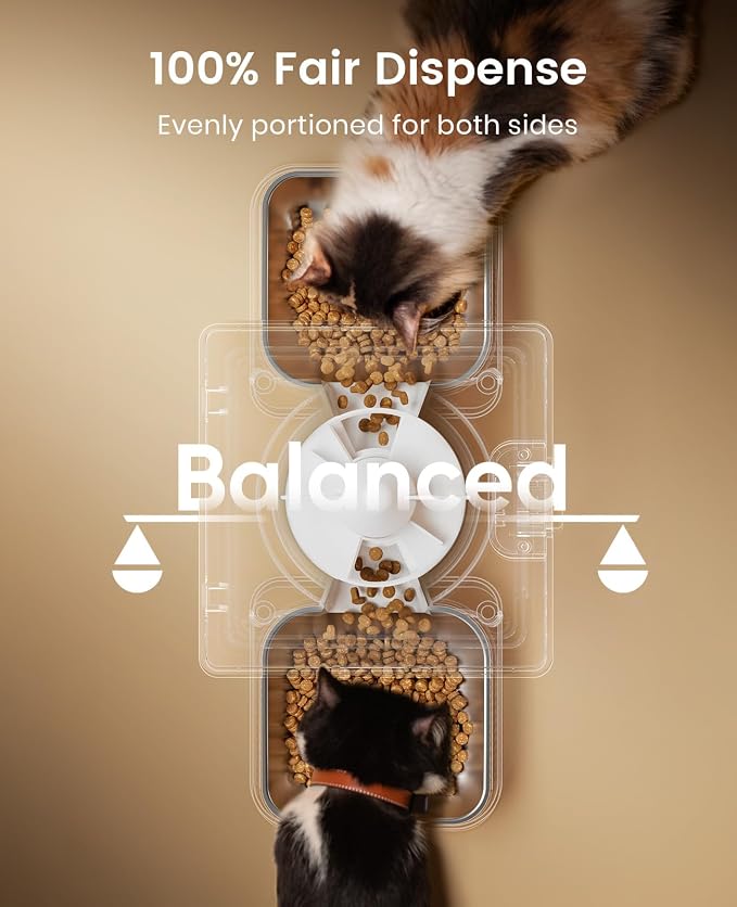 oneisall Automatic Cat Feeder for 2 Cats Pets, Timed Cat Food Dispenser | 20 Cups/5L, Prevent Fighting, Precise Portion, Balanced Dispense, Non-Slip & Stable, Voice Recorder, Stainless Steel Bowls