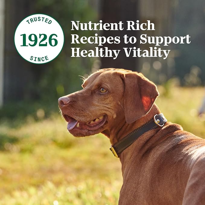 Nutro Hearty Stew Wet Dog Food, Tender Chicken, 12.5 oz, 12 Pack | Grain-free, non-GMO, real chicken #1 ingredient, with carrot & pea, natural ingredients, no corn, wheat, soy, made in USA