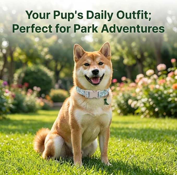 Dinosaur Dog Collar, Puppy Collar for Extra Small Dogs, XS