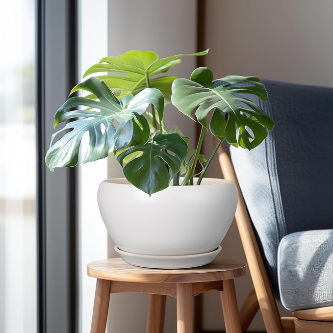 Ceramicfor Ceramic Planter for Indoor Plants - 11 Inch Plant Pot with Drainage Hole and Saucer Decorative Round Large Planter Pot for Plants Outdoor Flower Pot for Garden White