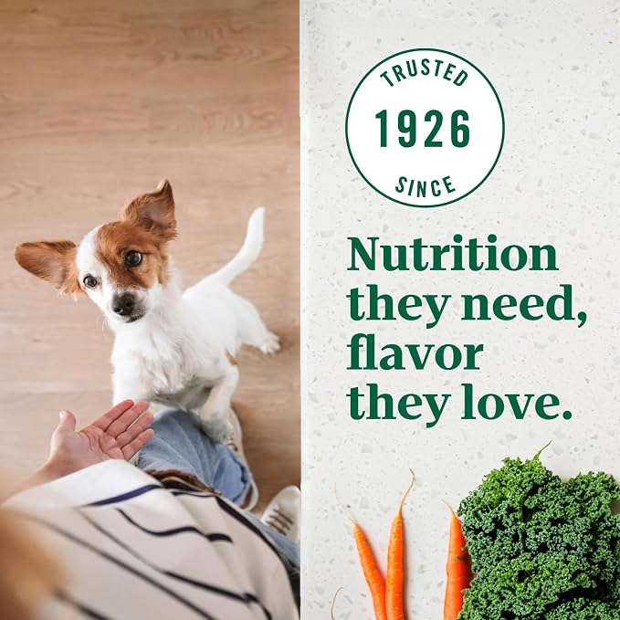 Nutro Ultra Small Breed Adult Dry Dog Food, Chicken, Lamb & Salmon, 22 lb | High-protein trio, Non-GMO, no corn, wheat, soy, 14 superfoods blend, Omega 3 & 6 fatty acids, essential antioxidants