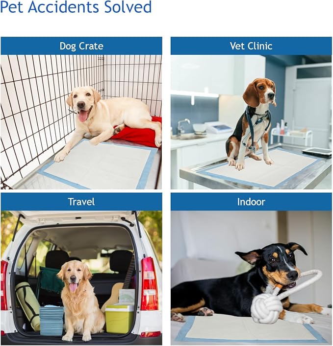 Puppy Pee Pads, 22 x 22 Inch Leak-Proof Pet Potty Training Pads for Dogs, Quick Absorb 6-Layer Design, Ideal for Puppies, Cats, Rabbits, and Guinea Pigs (Blue-50 Count)