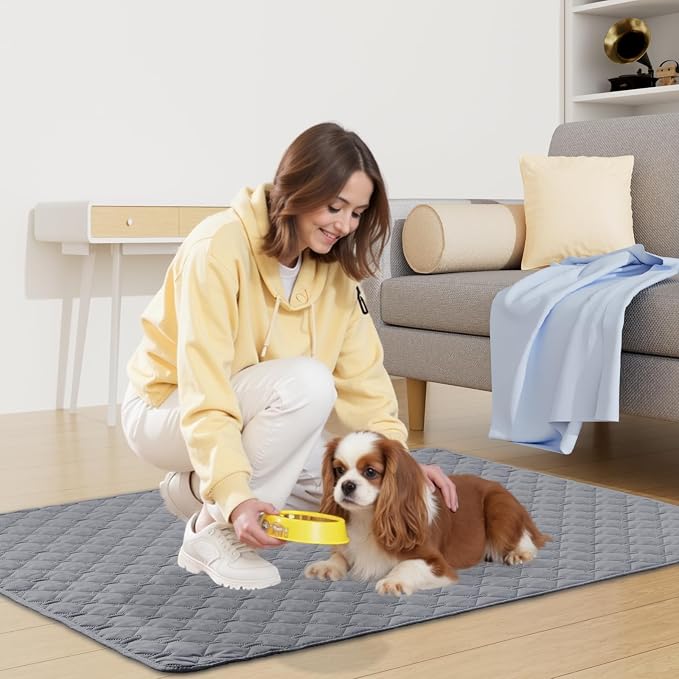 Smiry Waterproof Dog Bed Cover Blanket, Reversible Pet Blanket | Soft Reversible, Washable Leakproof Cats Dogs Couch Cover for Sofa, Couch, Furniture (30x53 Inch)