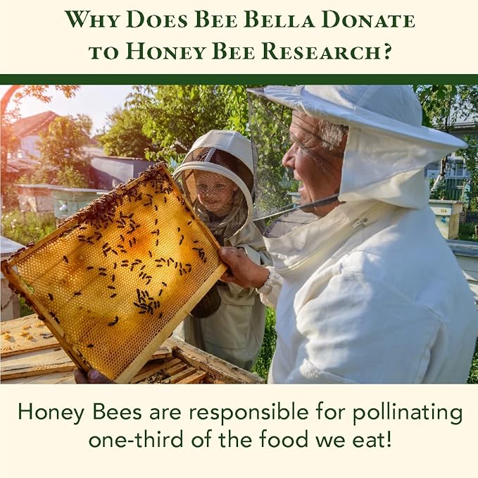 Bee Bella Lip Balm Holiday Gift Box, Cherry, Lavender Vanilla, Vanilla Bean, Pumpkin Spice, Candy Cane, 5 Pack, Gift, Organic Beeswax with Vitamin E, Handmade in USA