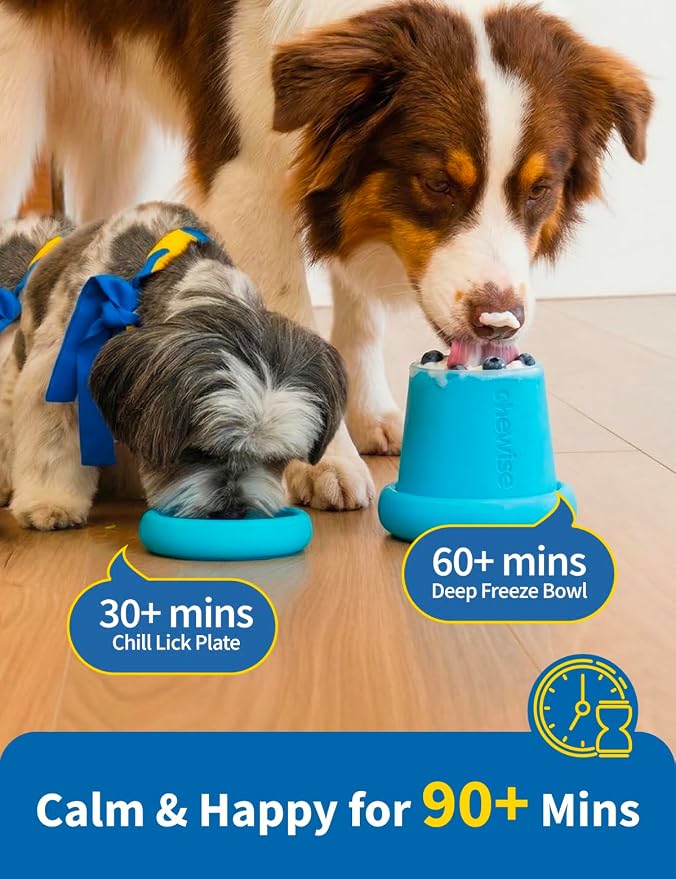 2-in-1 Dog Freezer Bowl & Licking Mat, Frozen Dog Treat Toy