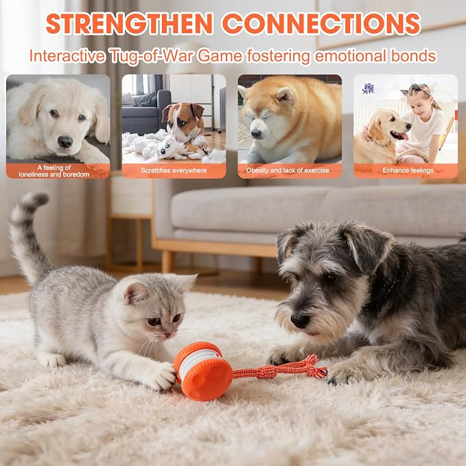 Interactive Dog Toy,Random Path Automatic Electric Rolling Toy with Rope,Motion-Activated Dog Stimulation Toy for Chewing and Playing,Boredom Relief,for Small Medium Large Dogs (Blue)