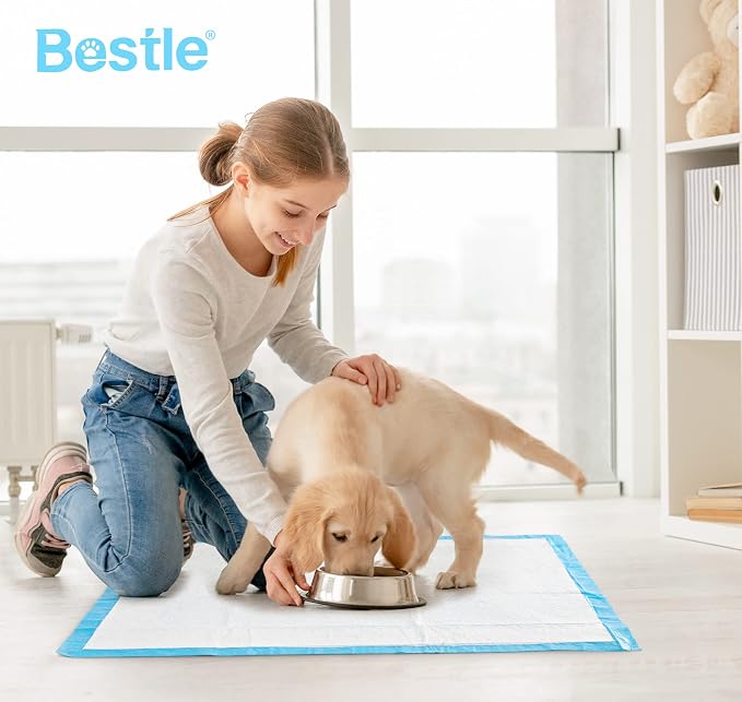 BESTLE Large Pet Training and Puppy Pads Pee Pad for Dogs 24"x24"-80 Count Super Absorbent & Leak-Proof (Pack of 2)