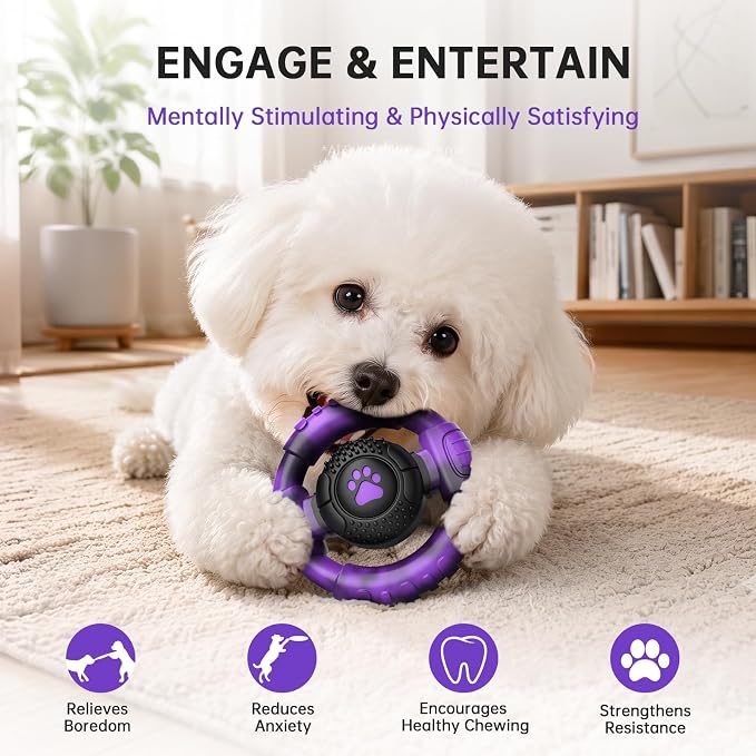Pamlulu Small Dog Chew Toy, Tough Squeaky Puppy Chew for Small Breeds, Rubber and Nylon Design, Indoor and Outdoor Play, Birthday Gift
