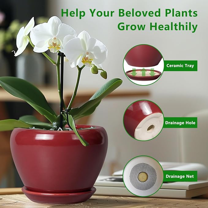 Ceramicfor Ceramic Pot for Plants - 6 Inch Plant Pot Indoor with Drainage Hole and Saucer Succulent Outdoor Planter Round Flower Pot for House Patio Decor Red