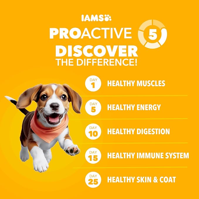 IAMS Proactive Health Large Breed Puppy Dry Dog Food, Chicken, 38.5 lb | Real chicken #1 ingredient, Omega-3 DHA for cognitive & vision development, optimal calcium for bones & joints, Vitamin E