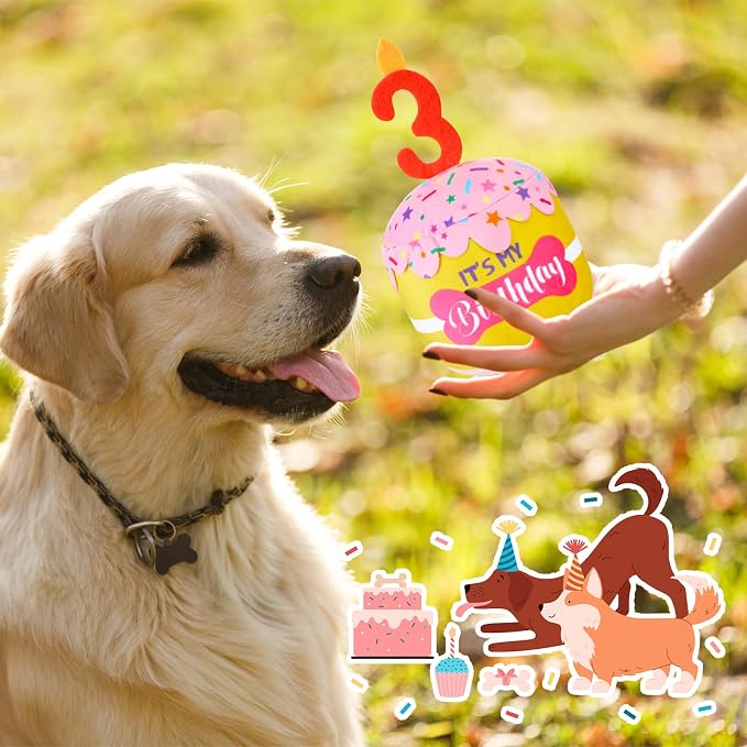 Dansydaisy Dog Birthday Cake Toy Squeaky Plush Gift,3rd,Pink and Yellow