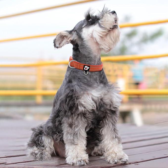 azuza Reflective Dog Collar, Neoprene Padded Small Dog Collar, Rust Red, S