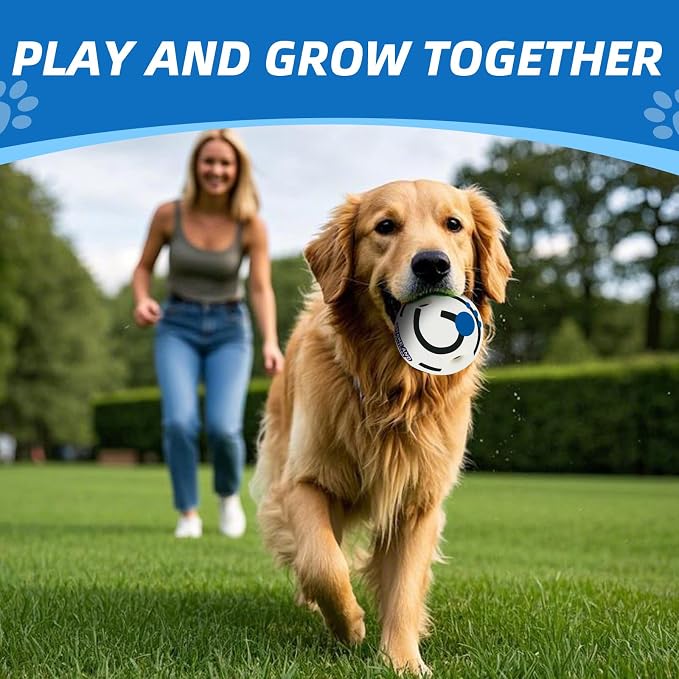 Glow in The Dark Dog Toys Ball, L, 3.94 in (10 cm) | Interactive, Shaking with Gibbering Sound