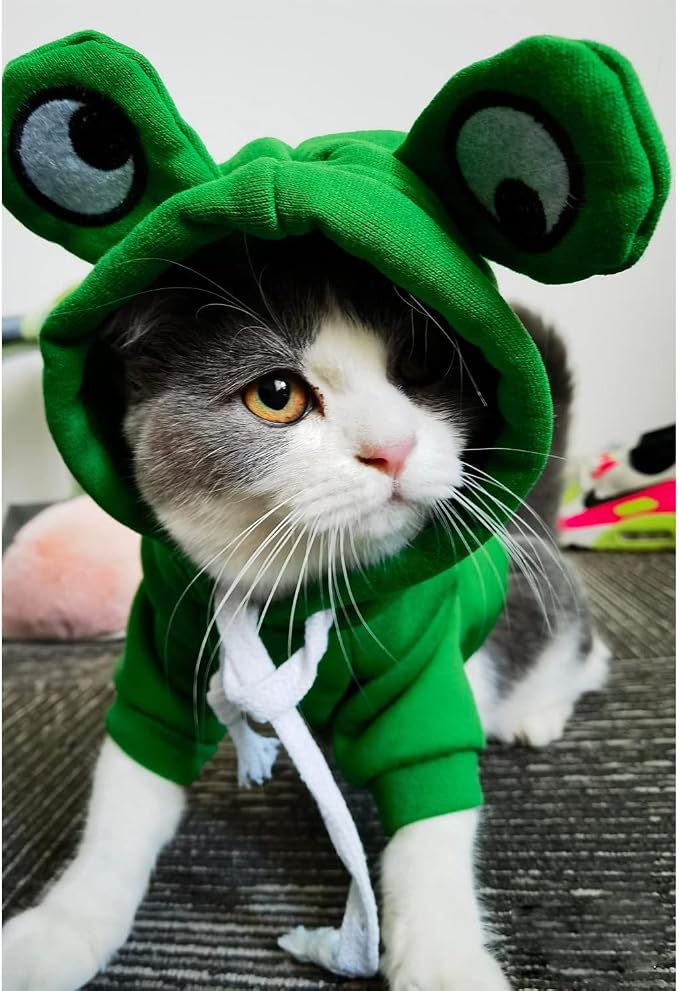 Warm Dog Pet Winter Clothes Cute Frog Shape Dogs Coat Hoodie, Green,L | Fleece Pet Dog Frog Costume Jacket for French Bulldog Chihuahua Pug Boston Terrier Dachshund Greyhound Ropa Para Perro