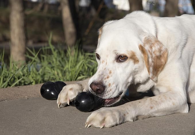 KONG Extreme Goodie Bone, Durable Natural Rubber, Black, for Large Dogs
