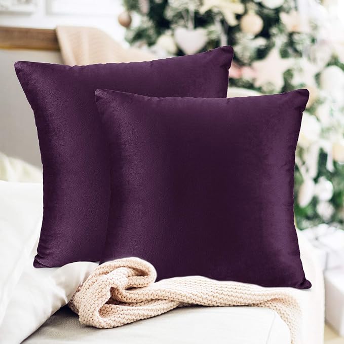 Throw Pillow Inserts Pack of 2 with Velvet Soft Solid Decorative Square Throw Pillow Covers Set for Sofa Couch Car Bedroom, 22X22 Throw Pillows Inserts with 20x20 Washable Cushion Covers, Dark Purple