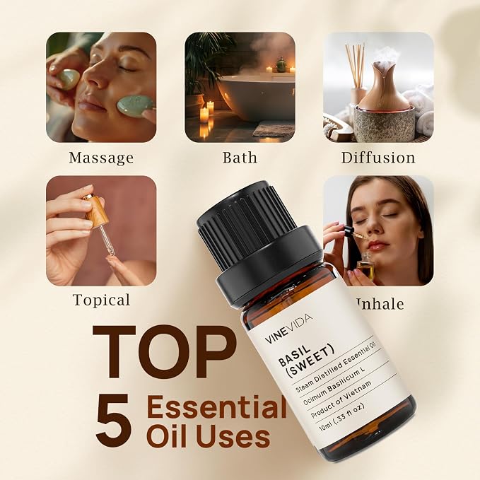 VINEVIDA Sweet Basil Essential Oil 10 mL - Undiluted Candle Oil Scent for DIY Candlemaking and Soap Making