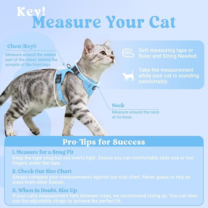 rabbitgoo Cat Harness and Leash, Easy-on with Neck Buckle, Sky Blue