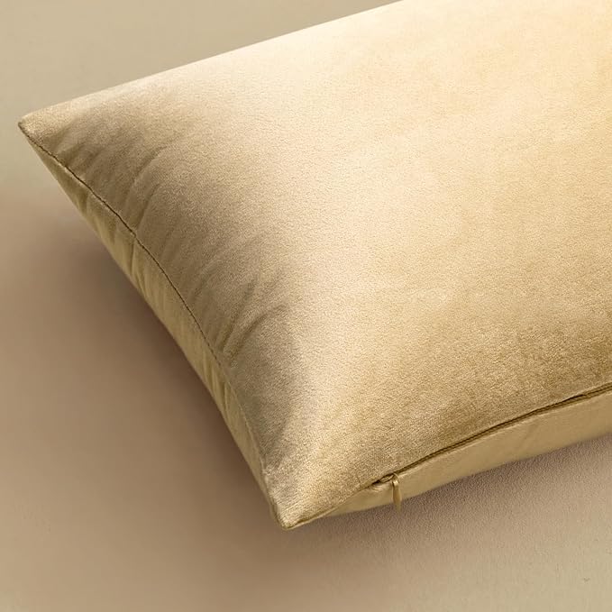 MIULEE Velvet Throw Pillow Covers 18x18 Inch Pack of 2 Beige | Soft Solid Decorative Pillow Covers, Modern Luxury Home Decor, for Couch Chair Sofa Bedroom Livingroom