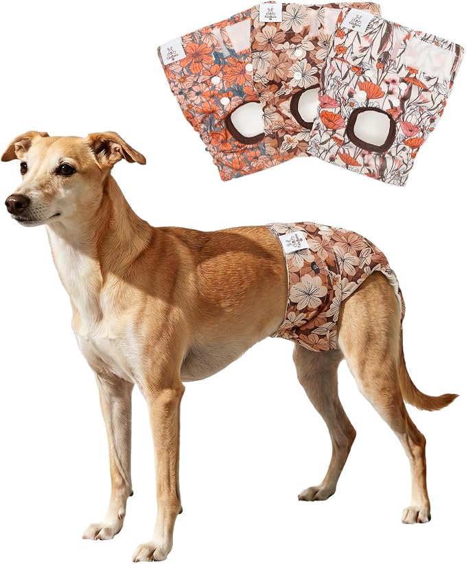 CuteBone Dog Diapers Female Washable Small Medium Large 3 Pack Reusable Doggie Diapers Puppy Period Pants for Doggy Heat Cycle Peeing