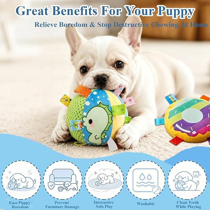Colorful Squeaky Hanging Dog Toy with Suction Cup for Small Dogs | Bungee Tether, Crinkle Bell Ball, Bouncing Self-Play Toy, Door Frame Mounted, Interactive Fetch for Puppy Teething & Exercise