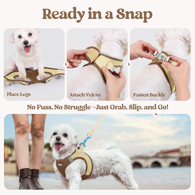 rabbitgoo Dog Harness Small Sized and Leash Set, Step-in Puppy Pet Vest | Light, Soft, Breathable Air Mesh, Easy on and Remove with Hook & Loop, Secure Reflective for Walking, Brown & Beige XXS