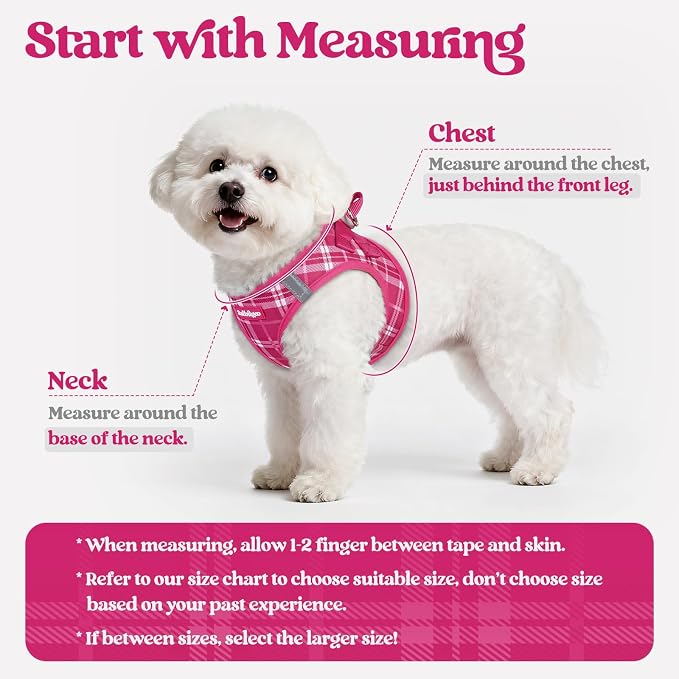 rabbitgoo Dog Harness Small Sized and Leash Set, Step-in Puppy Pet Vest | Light, Soft, Breathable Air Mesh, Easy on and Remove with Hook & Loop, Secure Reflective for Walking, Rose Red Plaid XS