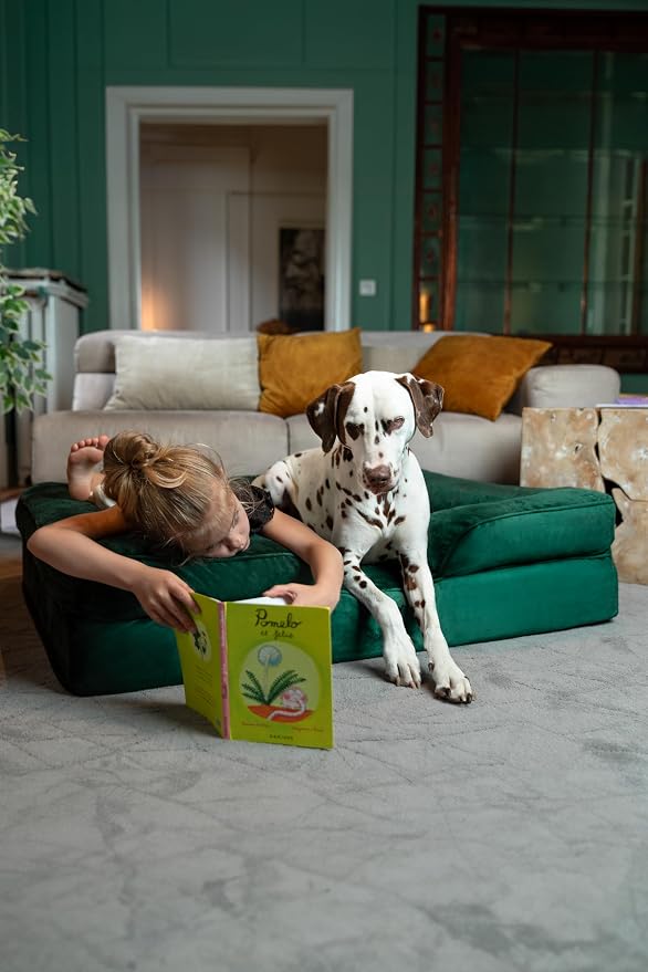 NOAH & PAW XL Dog Bed, 45x35x11 Inch, Orthopedic Large Dog Beds, Eggshell Memory Foam Infused with Cooling Gel, Inner Cover, Water Resistant, Machine Washable (Velvet Sofa Collection)