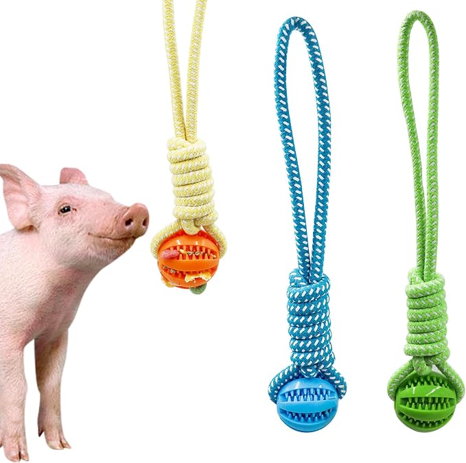 Mini Pig Supplies, 3 Pack Treat Dispenser Ball Toys for Pigs, Plastic Food Foraging Ball with Rope for Pigs, Pig Toys for Pet Pig