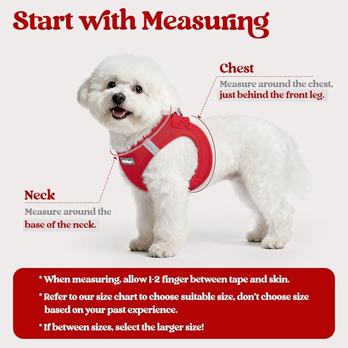 rabbitgoo Dog Harness Medium Sized and Leash Set, Step-in Puppy Pet Vest | Light, Soft, Breathable Air Mesh, Easy on and Remove with Hook & Loop, Secure Reflective for Walking, Red XXL