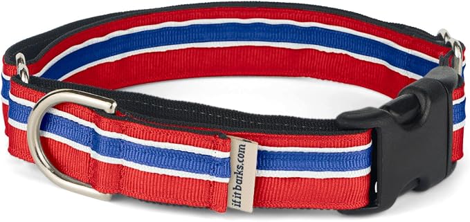 If It Barks 1" Martingale Collar with Quick Snap Release Buckle, Adjustable, USA Made, Medium, Patriotic