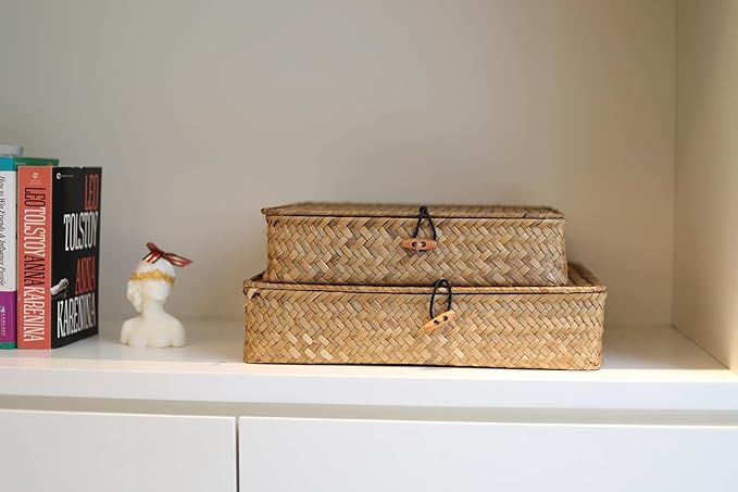 Flat Seagrass Storage Bins with Lid, Wicker Basket for Shelf Organize, Set of 2 (Small+Large)