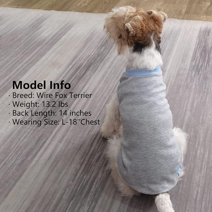 KYEESE 2Pack Waffle Dog Shirt for Small Dogs Striped Dog Sweater Tank Top | Cozy Warmth, Lightweight & Breathable, Gentle on Sensitive Skin, Stretchy & Free to Move, Comfortable Daily Wear