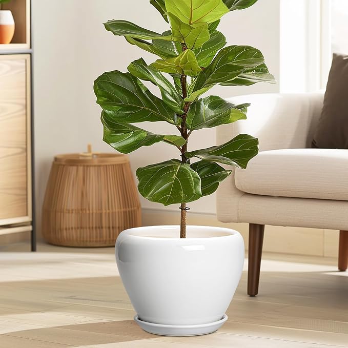 Ceramicfor Ceramic Pot for Plants - 8 Inch Ceramic Planter for Indoor Plants, Modern Round Planter with Drainage Hole and Saucer, Plant Lover Gifts, Home Office Garden Decor, White