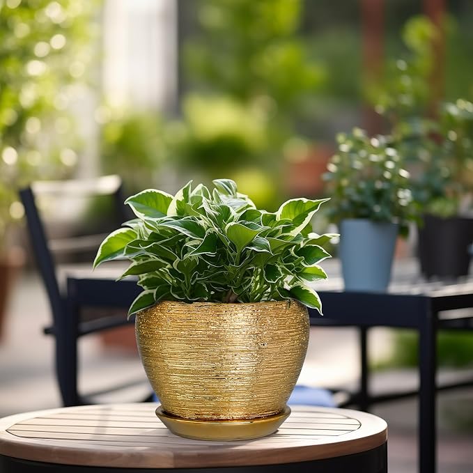 Ceramicfor Indoor Plant Pot 6 Inch - Ceramic Pot for Plants Outdoor Planter with Drainage Hole and Saucer Round Decorative Planter Modern Flower Pot for Home Decor Gold