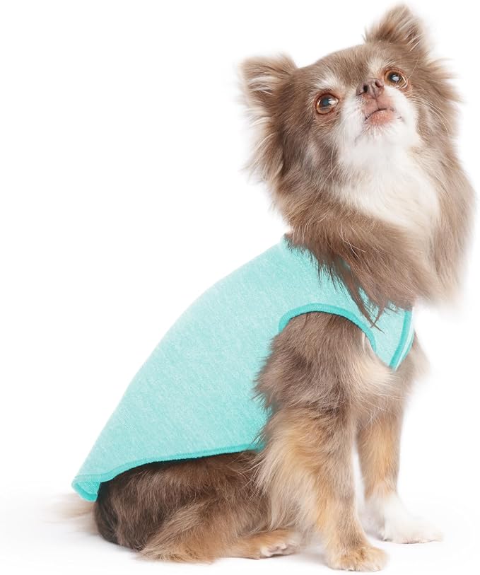 Goldpaw Dog Sun Shirt with UV Protection - Lightweight, Cooling Sun Protection Clothing for Dogs - Reduce Heat Absorption - Pet Clothes Made in the USA - Machine Washable - Size 6 - Baja Beach
