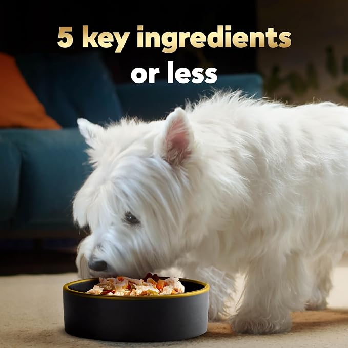 Cesar Simply Crafted Dog Food Toppers Variety, 1.3 oz, 8 Count, 2-Pack | Real chicken #1 ingredient, 5 key ingredients or less, slow-cooked, mix with dry food or serve alone, single-serve tubs
