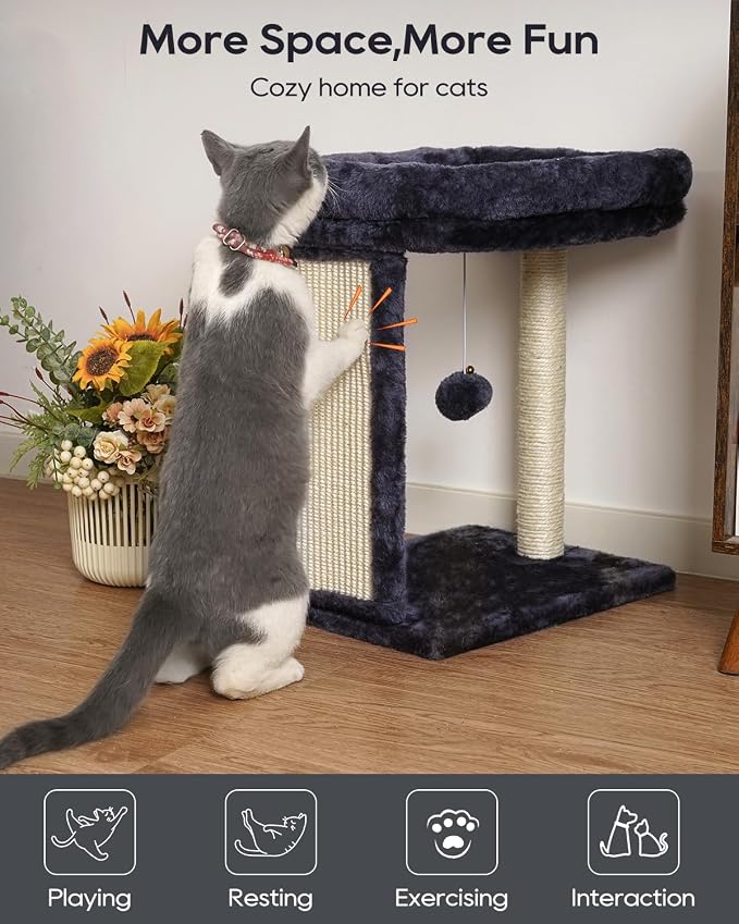 SYANDLVY Samll Cat Tree for Indoor Cats, Scratching Board Scratcher & Perch | Cat Scratching Post with 2 Dangling Balls, Great for Kittens