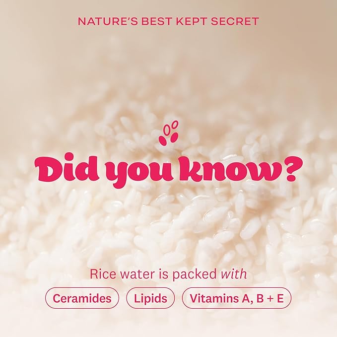 The Face Shop Rice Water Bright Foaming Facial Cleanser with Ceramide, Gentle Face Wash for Hydrating & Moisturizing, Vegan Face Cleanser, Makeup Remover, Korean Skin Care for All Skin Types, 150ml
