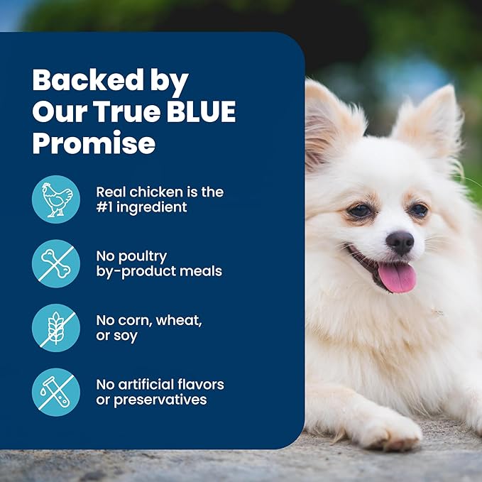 Blue Buffalo Life Protection Formula Lamb Small Breed Dry Dog Food, 15 lb | Real Lamb #1 Ingredient, Antioxidant-Rich LifeSource Bits, Supports Higher Energy Needs, Formulated for Small Breed Dogs