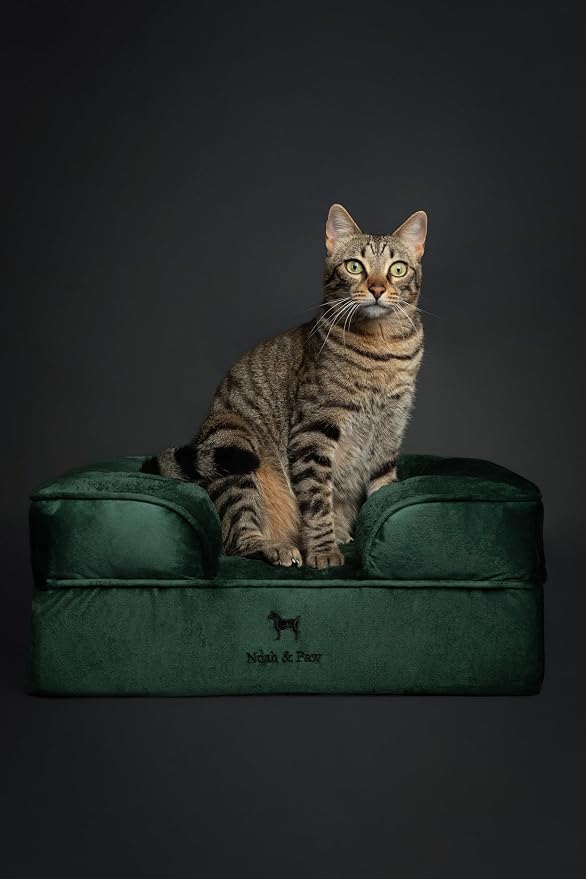 NOAH & PAW Small Dog Bed, 20x15x8 Inch, Cat Bed for Indoor Cats, Orthopedic Eggshell Memory Foam Infused with Cooling Gel, Water Resistant Inner Cover Machine Washable (Velvet Collection)