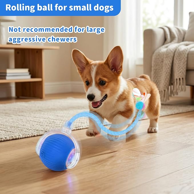 Cat Toys for Indoor Cats Smart Automatic Bal Moving Chase Dogs Toy, Blue | Ball Rolling for Bored Kitten Pet, Upgraded Speedy Moving Chase Dogs Toy