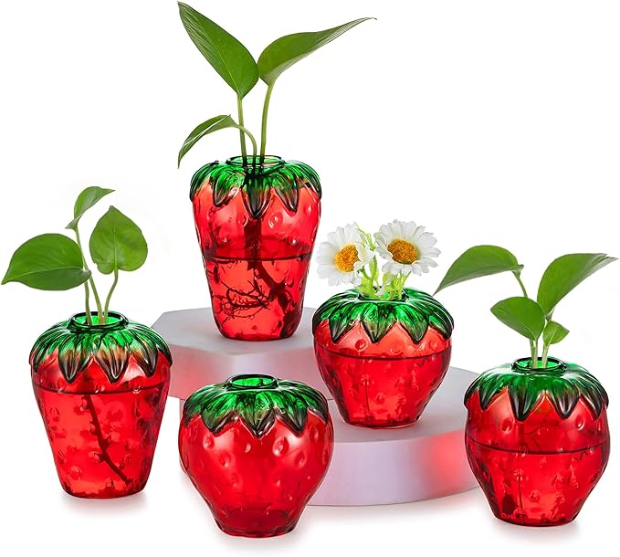 Hewory Cute Glass Strawberry Vases: 5PCS Propagation Vases for Plants | Red Strawberry Decor for Kitchen, Windowsill, Shelves, Gifts for Women, Mother, Novelty Indoor Hydroponic Flower Planter Pot
