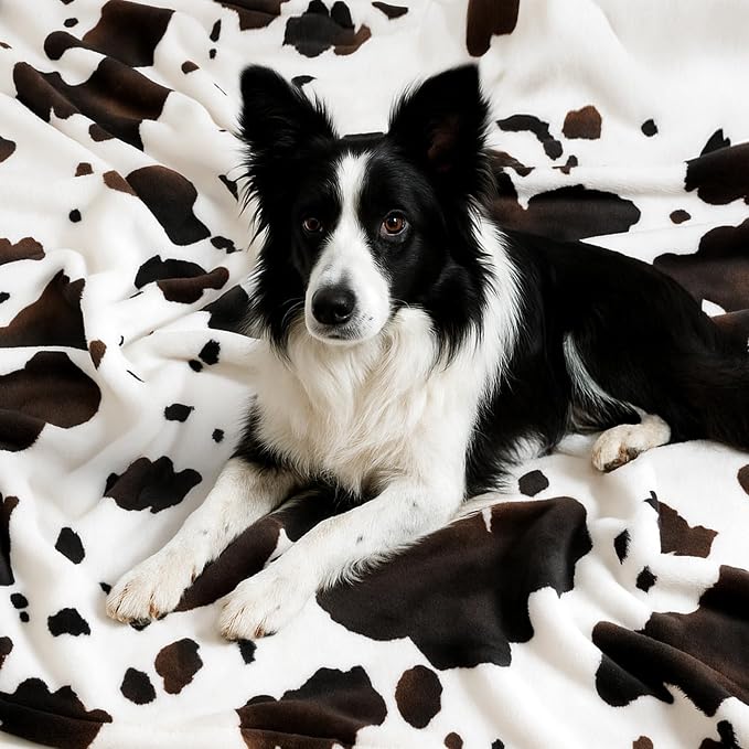 Cozy Bliss Cow Print Fuzzy Throw Blanket for Couch - Thick Soft Warm Non Shedding Fleece Blankets for Western Décor Room, for Kids, Women Men Girls, Black Brown 40"*50"