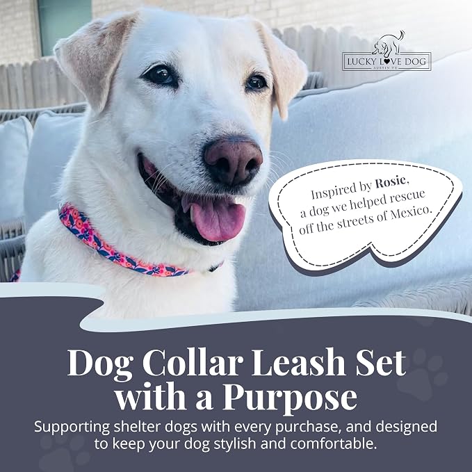 Lucky Love Dog Martingale Collar & Leash Set No Slip Cute – Rosie, Small