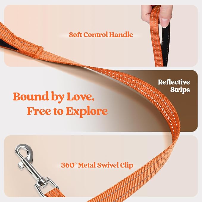 rabbitgoo Dog Harness Small Sized and Leash Set, Step-in Puppy Pet Vest | Light, Soft, Breathable Air Mesh, Easy on and Remove with Hook & Loop, Secure Reflective for Walking, Orange S