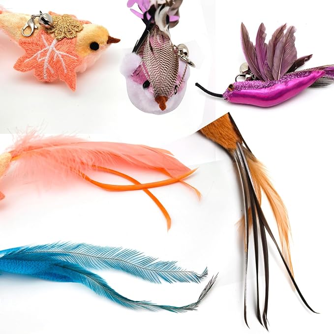 miwoowim 35" Steel Wire Cat Wand Toy & 6PCS Realistic Feather Bird Refills | Sturdy wooden handle for easy grip.Handcrafted birds with bells.Promotes active play, healthy exercise & bonding