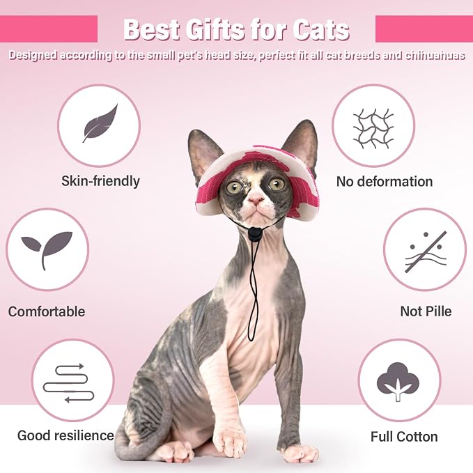 DENTRUN Cat Bucket Hat with Ear Hole, Cotton Birthday Bonnet for Small Pets | Breathable cotton, Adjustable Secures fit, For birthday Party, For small cats, daily cute photos